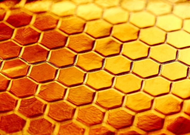 The Sweet Buzz: Exploring the Delicious World of Honey Dutches